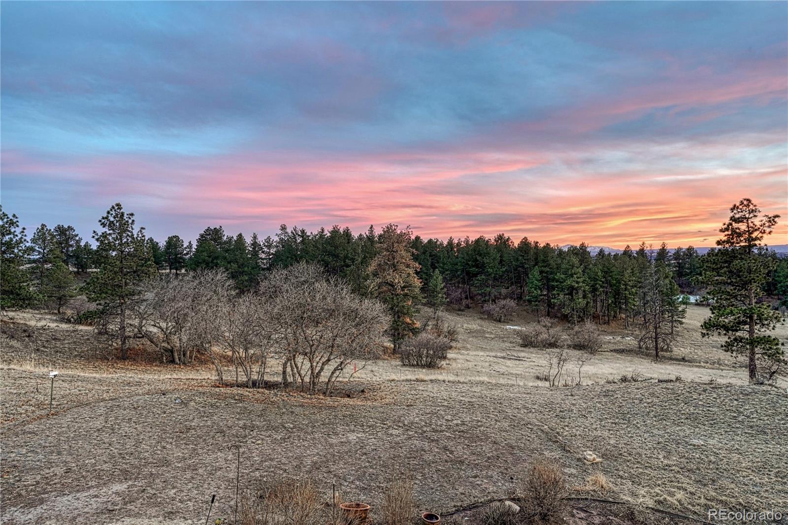 8768 Windhaven Drive Parker CO 80134