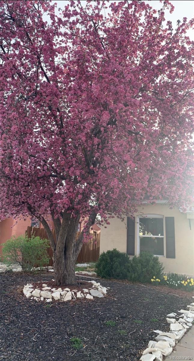 2223 Pine Street Pueblo CO 81004