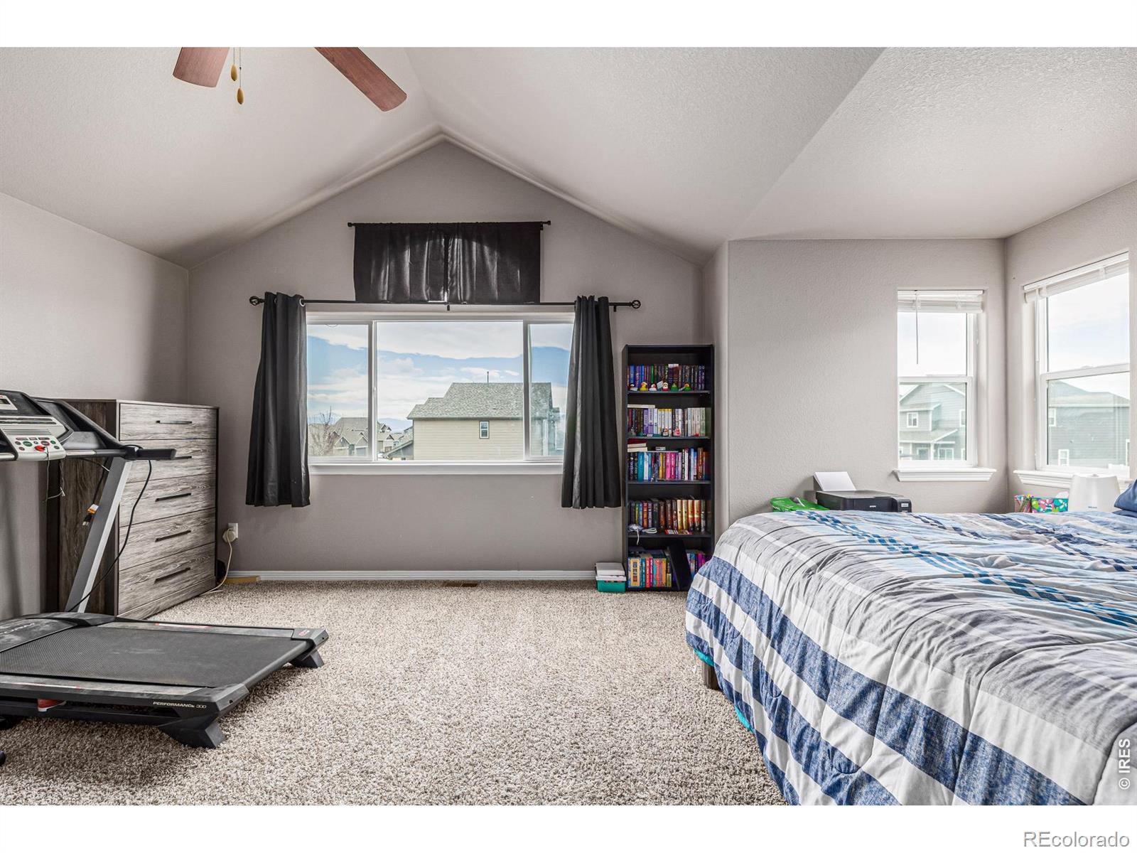 4689 Waltham Drive Windsor CO 80550