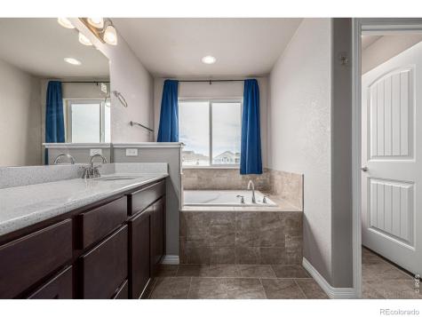 4689 Waltham Drive Windsor CO 80550