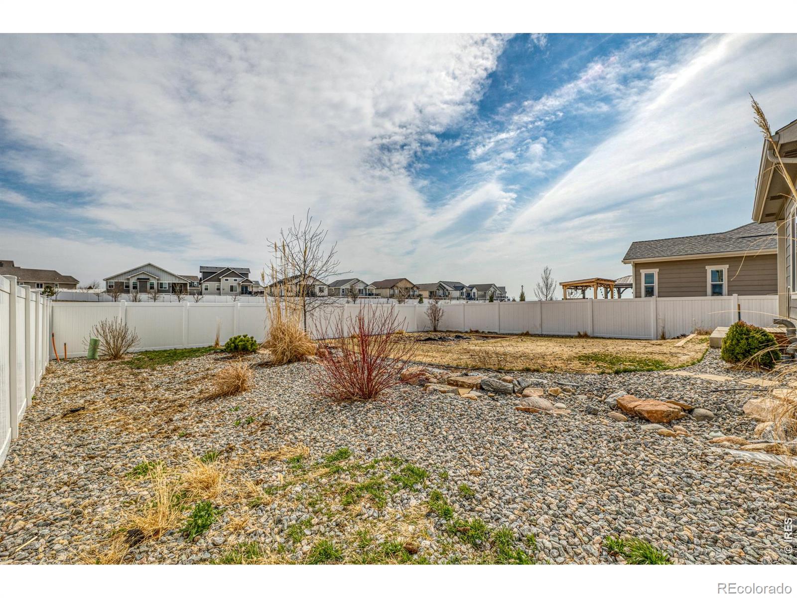 4689 Waltham Drive Windsor CO 80550