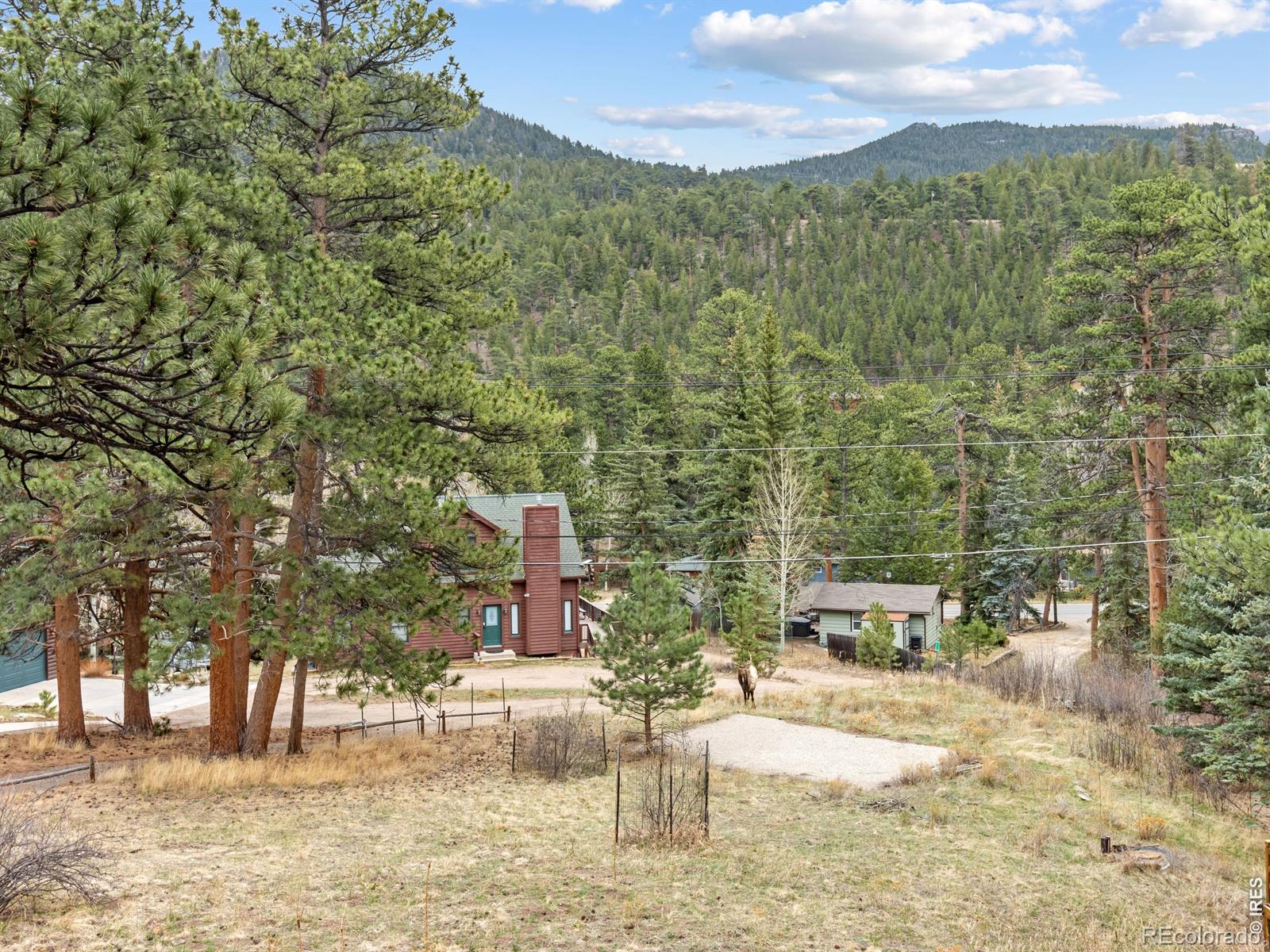 2415 Wild Bear Way Estes Park CO 80517