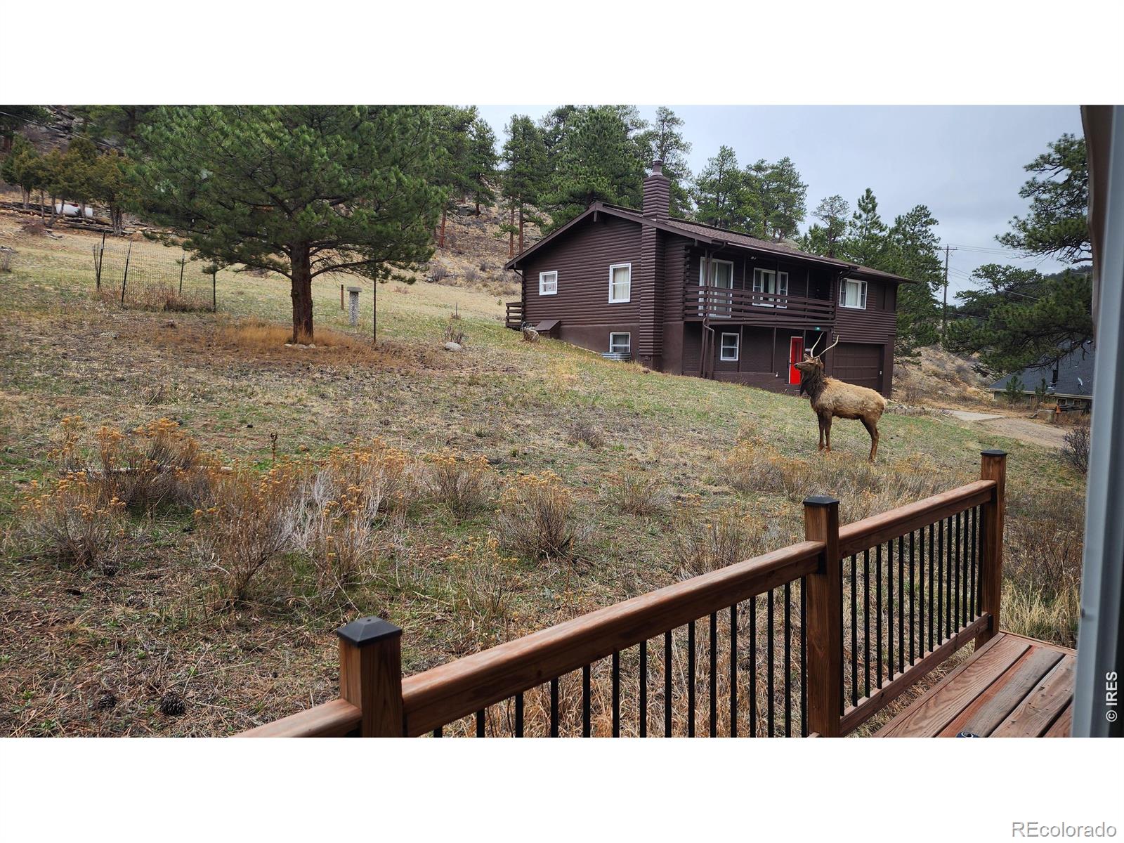 2415 Wild Bear Way Estes Park CO 80517