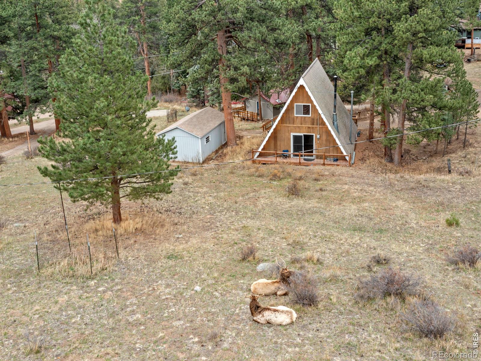 2415 Wild Bear Way Estes Park CO 80517