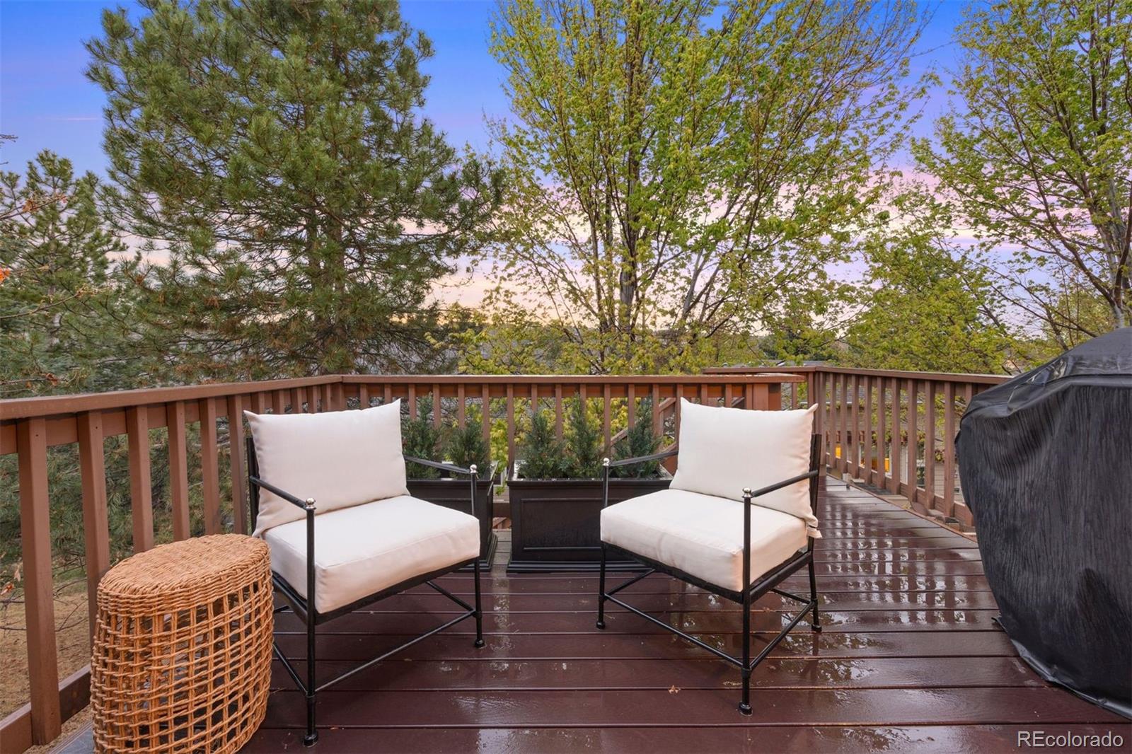 1037 Snow Lily Court Castle Pines CO 80108