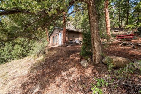 25845 Wilkerson Road Conifer CO 80433