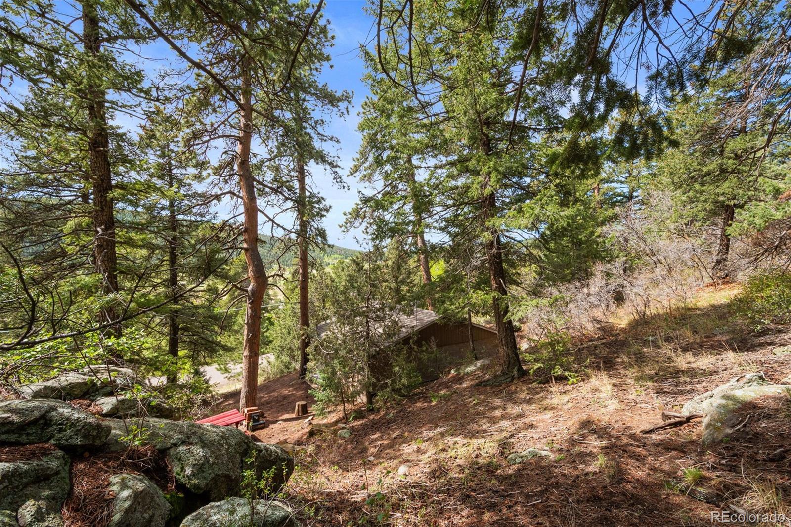 25845 Wilkerson Road Conifer CO 80433