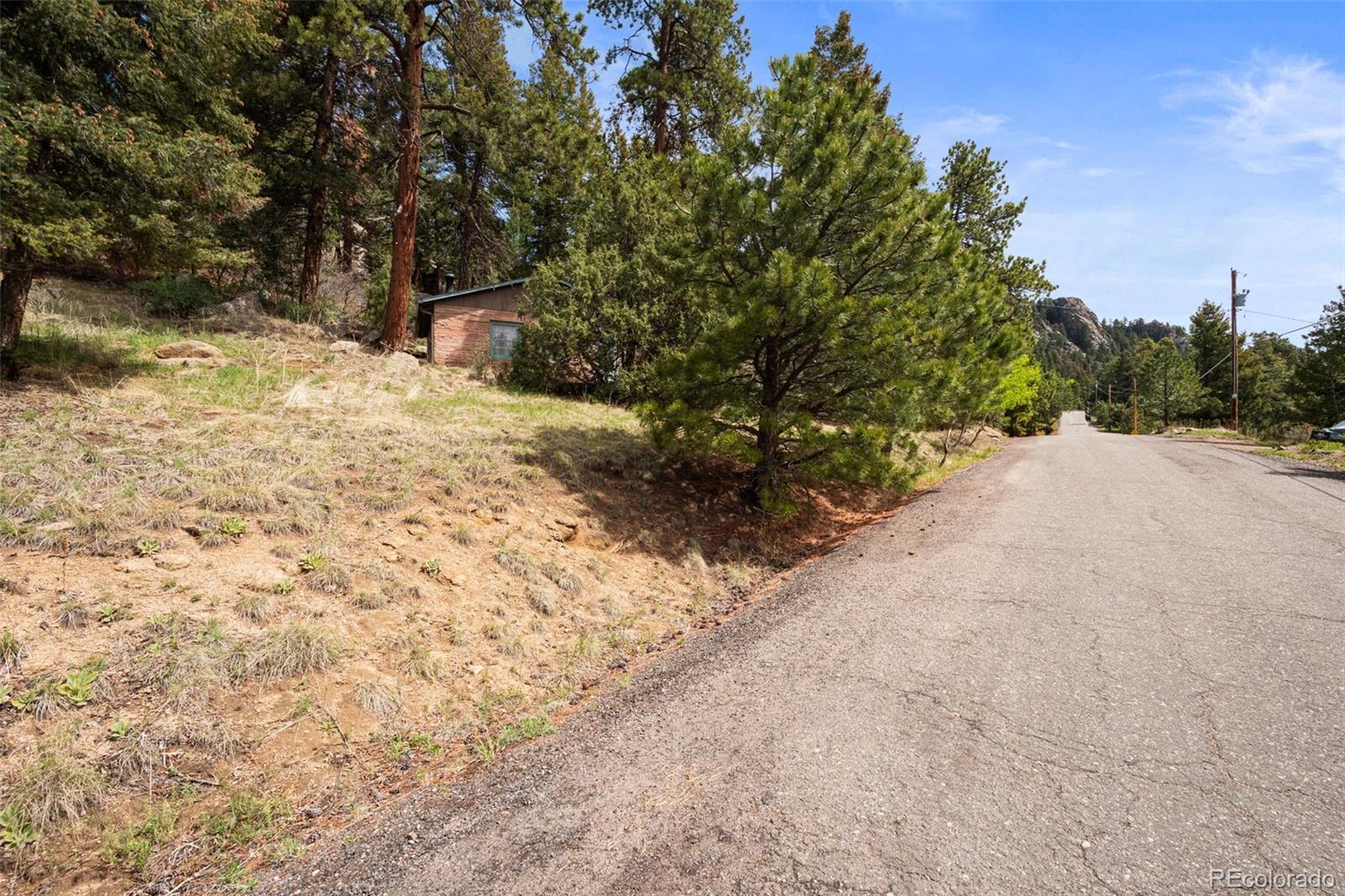 25845 Wilkerson Road Conifer CO 80433
