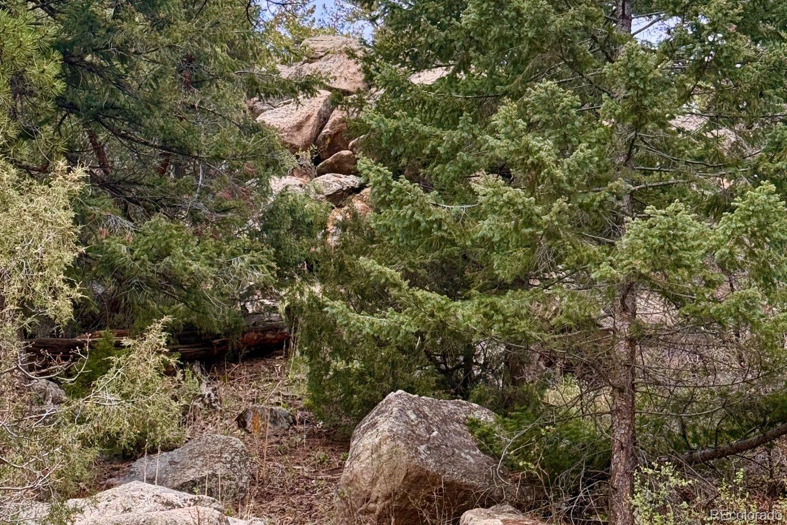 25845 Wilkerson Road Conifer CO 80433