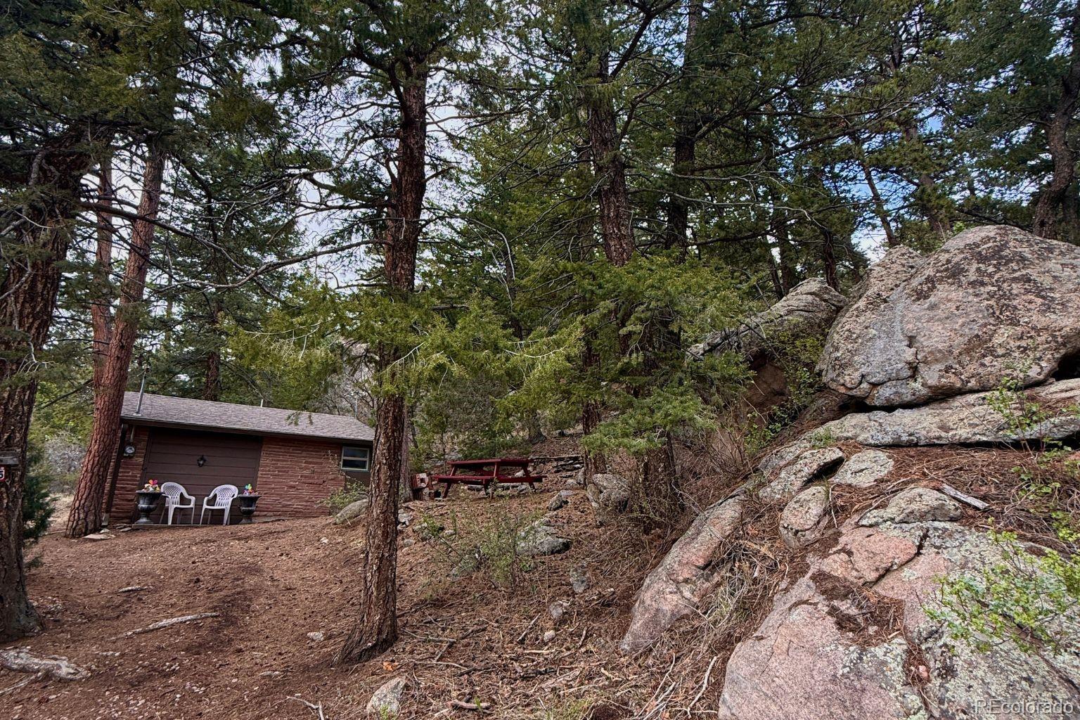 25845 Wilkerson Road Conifer CO 80433