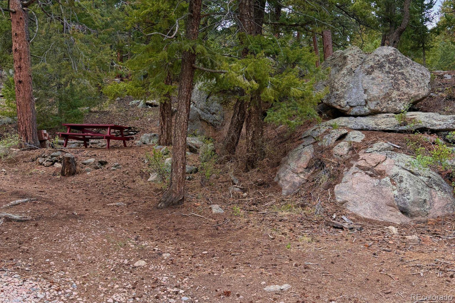 25845 Wilkerson Road Conifer CO 80433