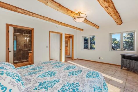 30511 Pine Glen Court Buena Vista CO 81211