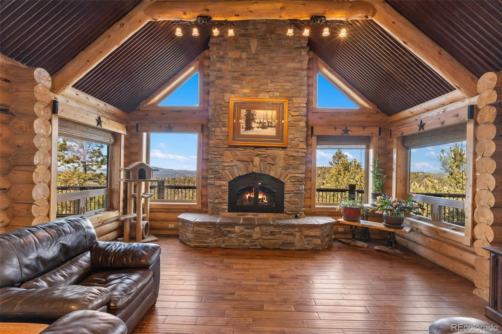 111 Blue Spruce Road Divide CO 80814