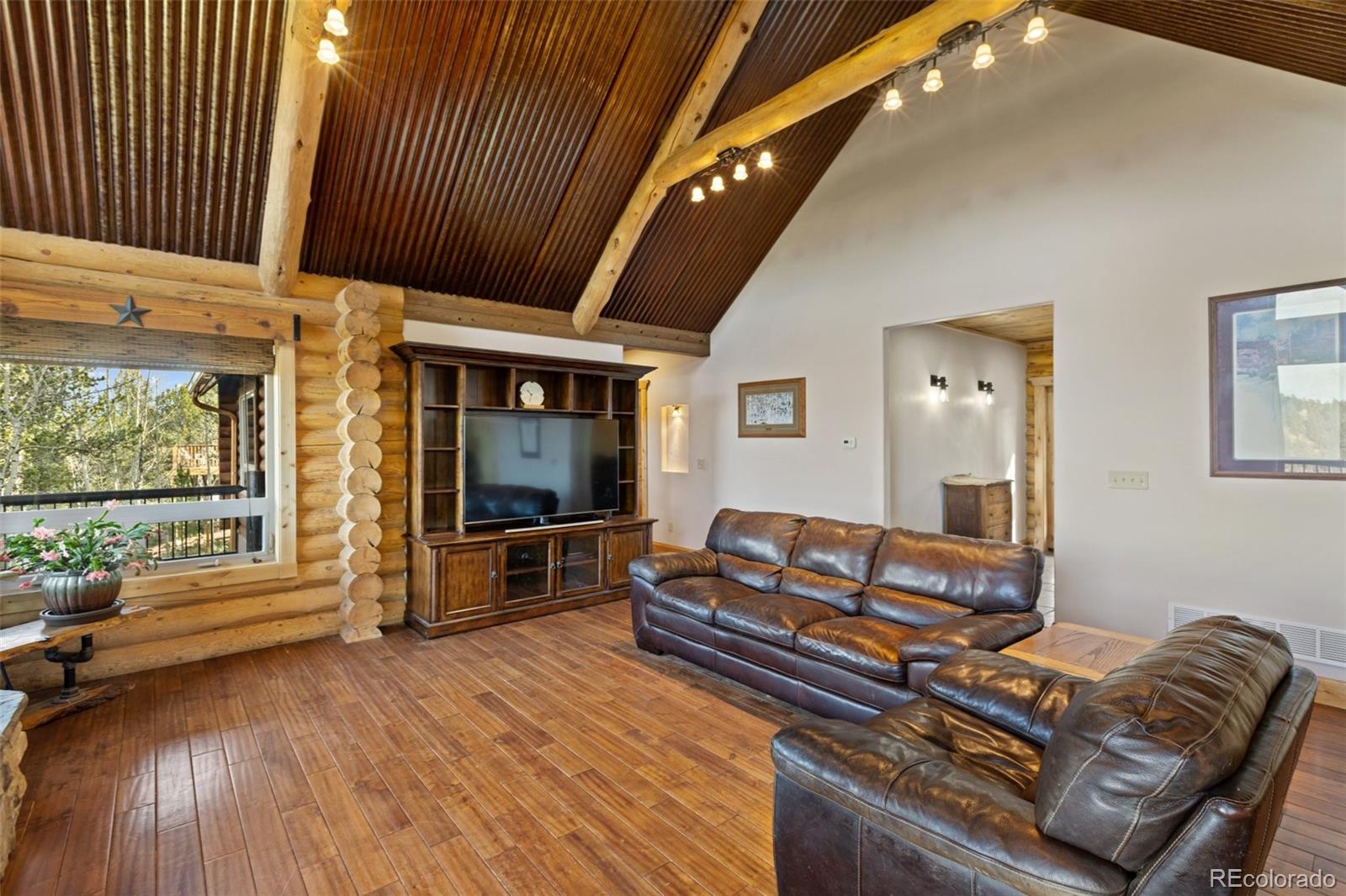 111 Blue Spruce Road Divide CO 80814