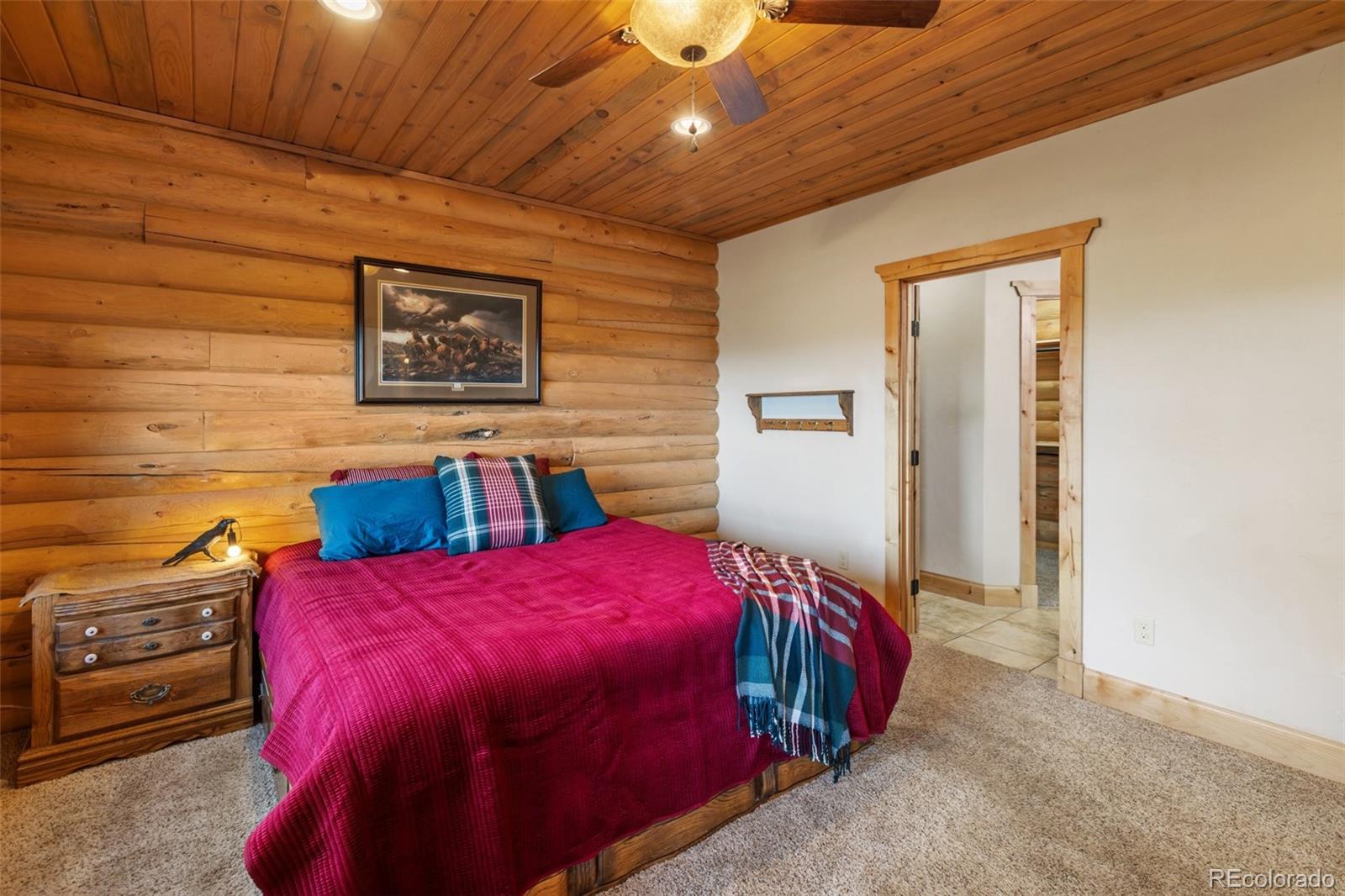 111 Blue Spruce Road Divide CO 80814