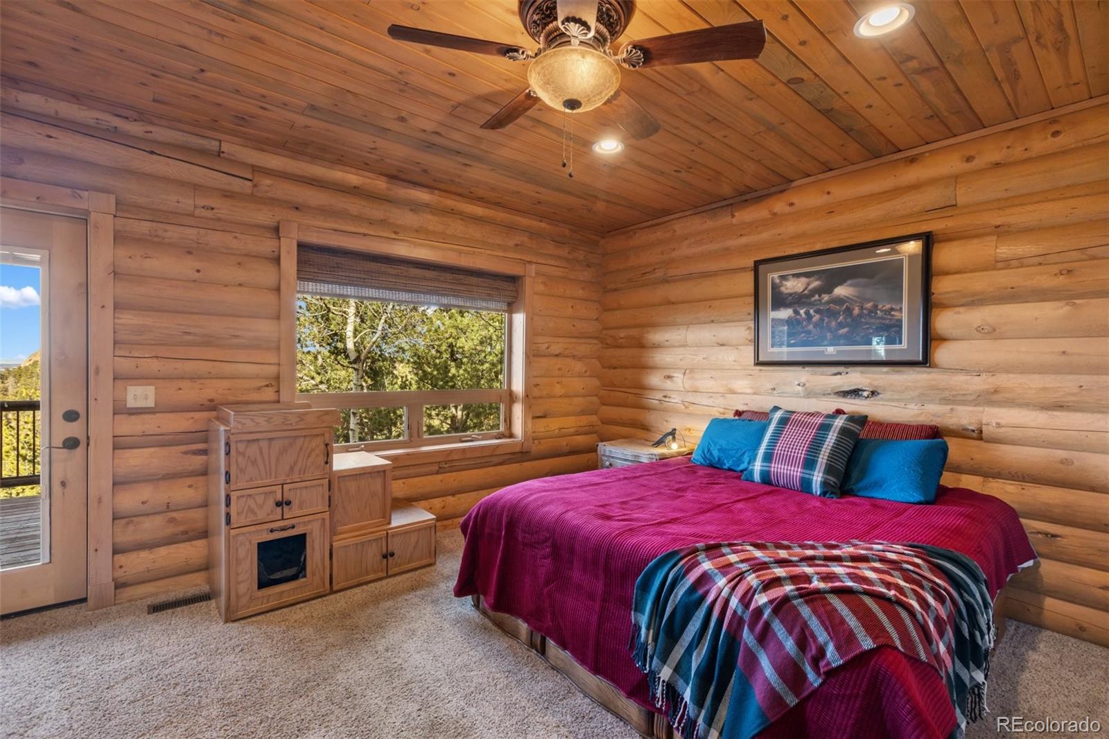 111 Blue Spruce Road Divide CO 80814