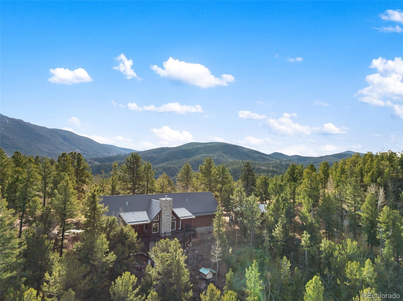 111 Blue Spruce Road Divide CO 80814