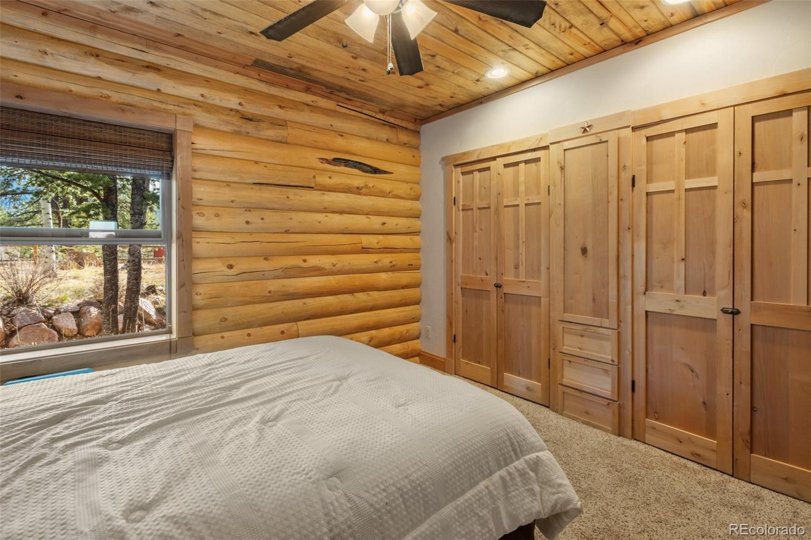 111 Blue Spruce Road Divide CO 80814