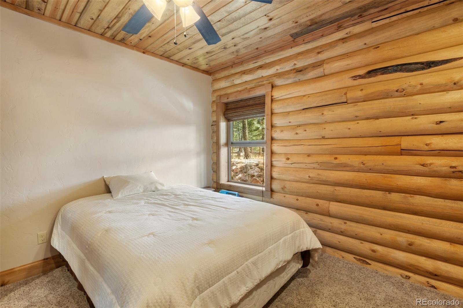 111 Blue Spruce Road Divide CO 80814