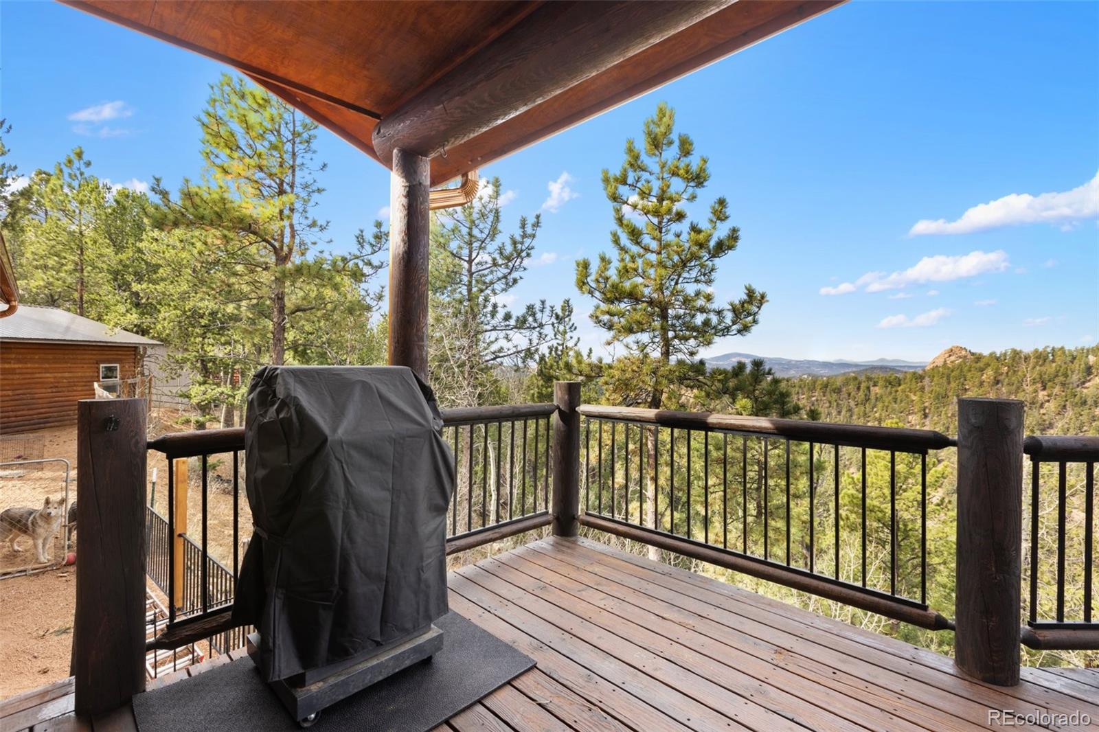 111 Blue Spruce Road Divide CO 80814
