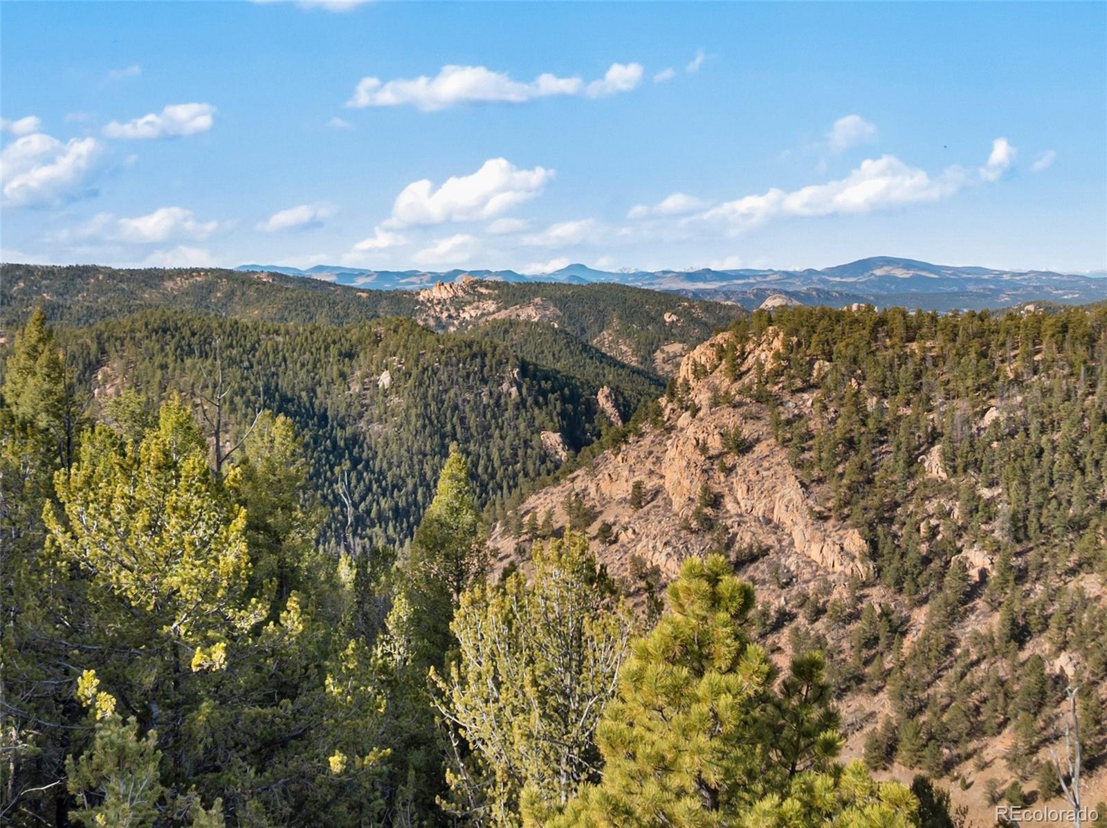 111 Blue Spruce Road Divide CO 80814
