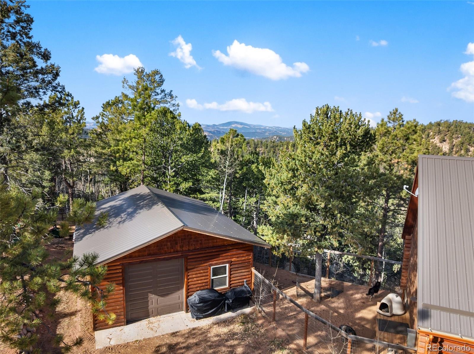 111 Blue Spruce Road Divide CO 80814