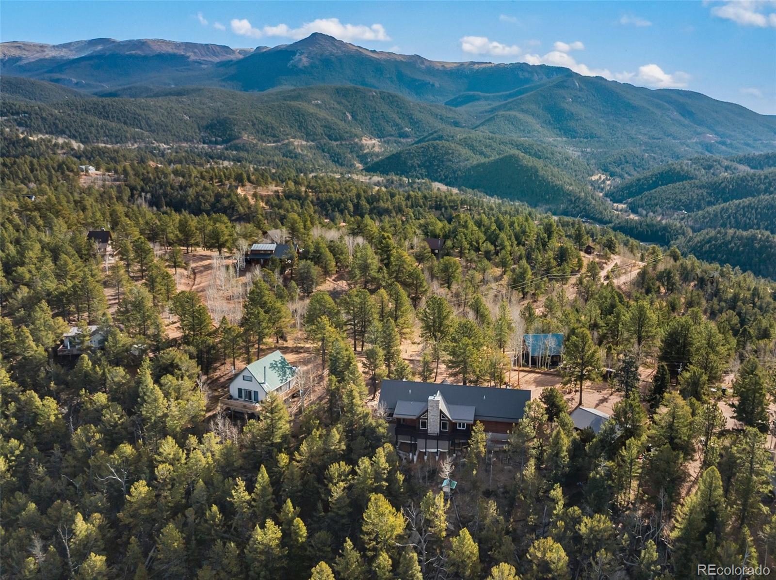 111 Blue Spruce Road Divide CO 80814