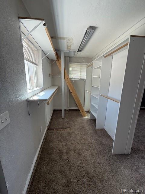 231 Elm Street Lochbuie CO 80603
