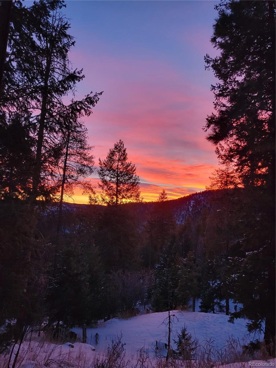 32462 Lodgepole Drive Evergreen CO 80439