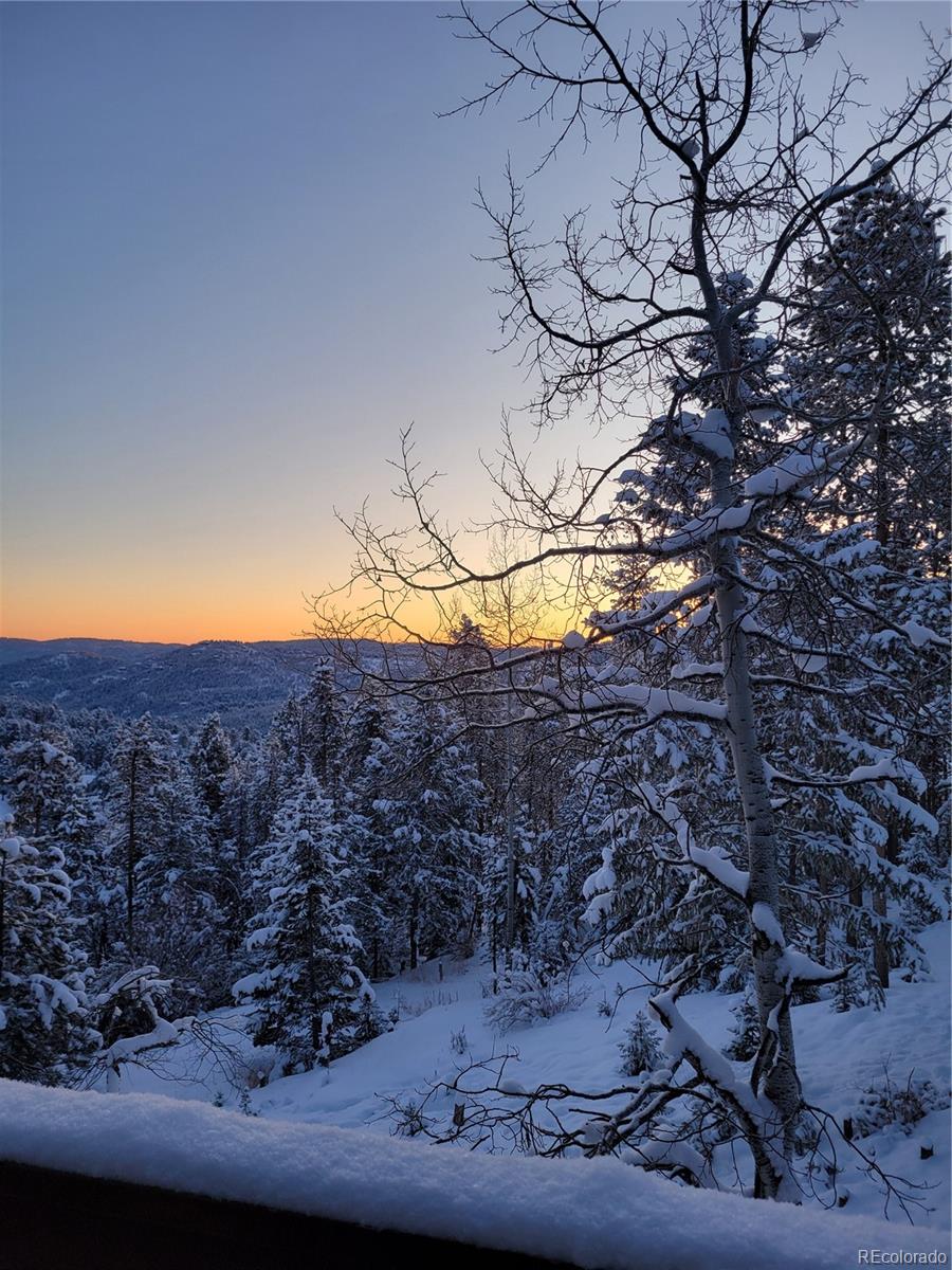 32462 Lodgepole Drive Evergreen CO 80439