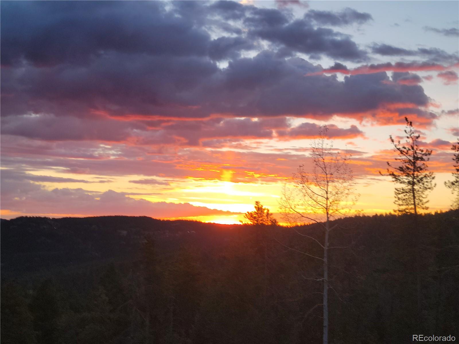 32462 Lodgepole Drive Evergreen CO 80439