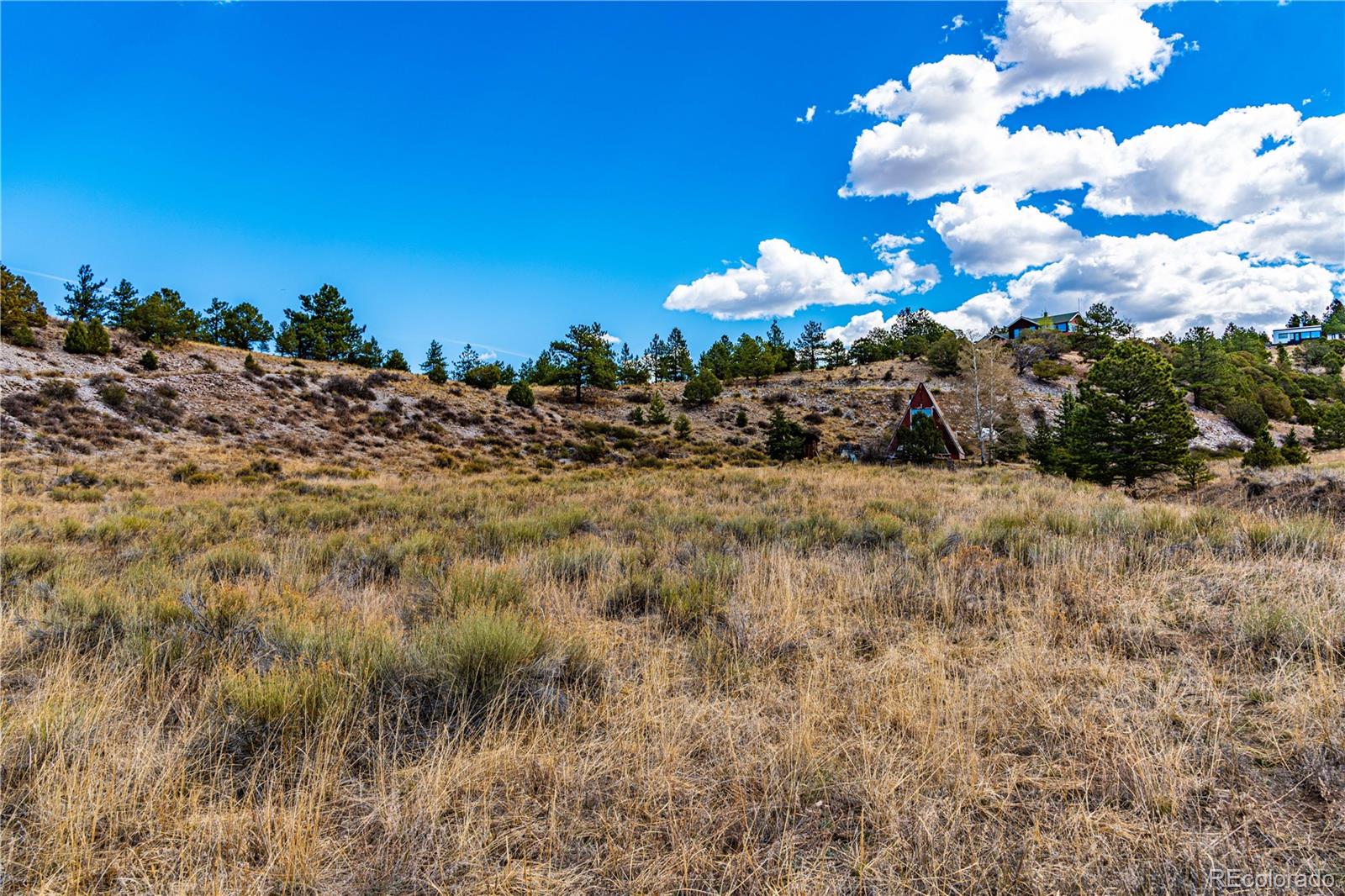 177 Bunker Hill Circle Silver Cliff CO 81252