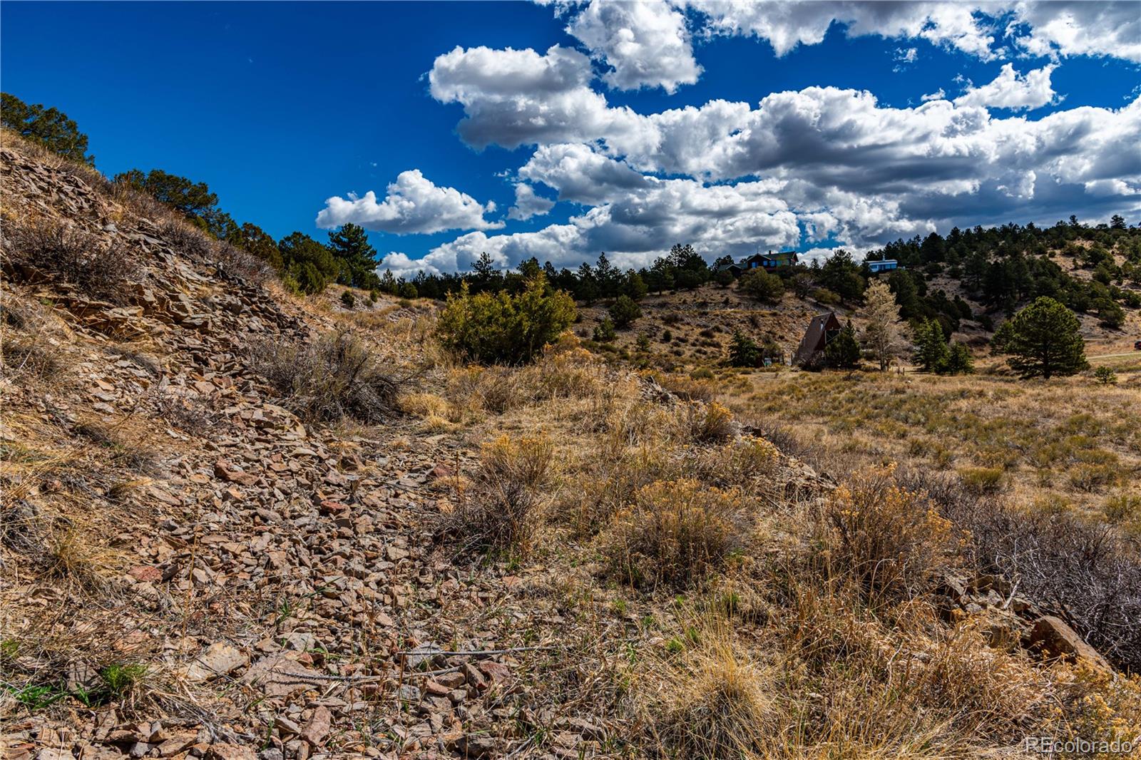 177 Bunker Hill Circle Silver Cliff CO 81252