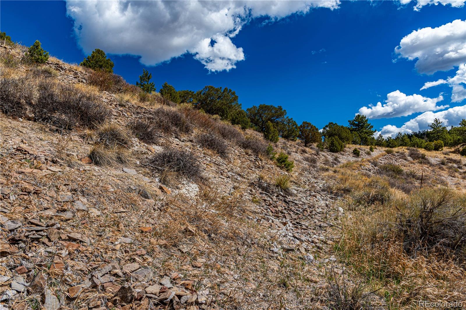 177 Bunker Hill Circle Silver Cliff CO 81252