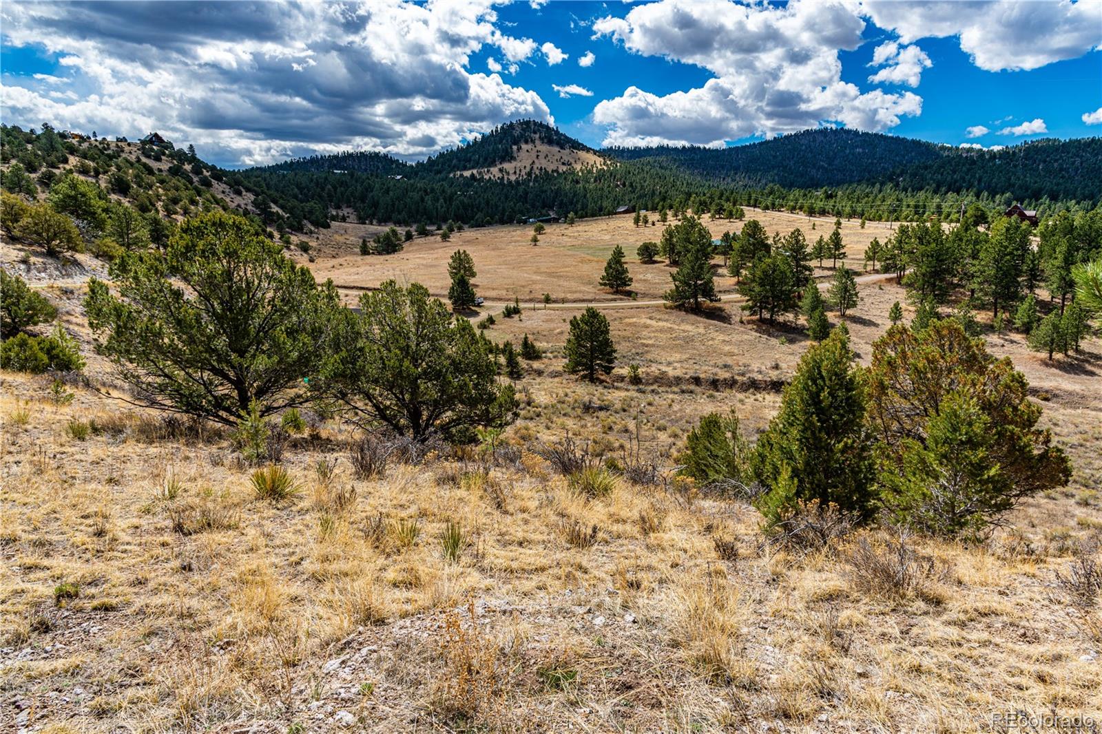 177 Bunker Hill Circle Silver Cliff CO 81252