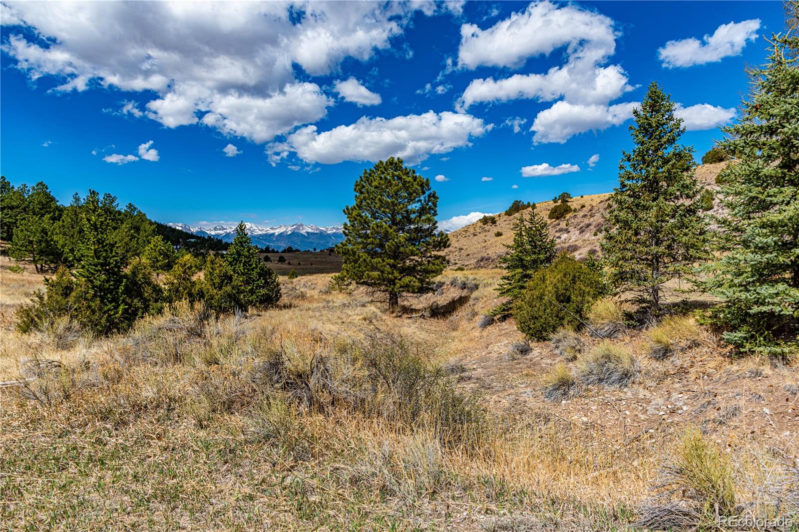 177 Bunker Hill Circle Silver Cliff CO 81252