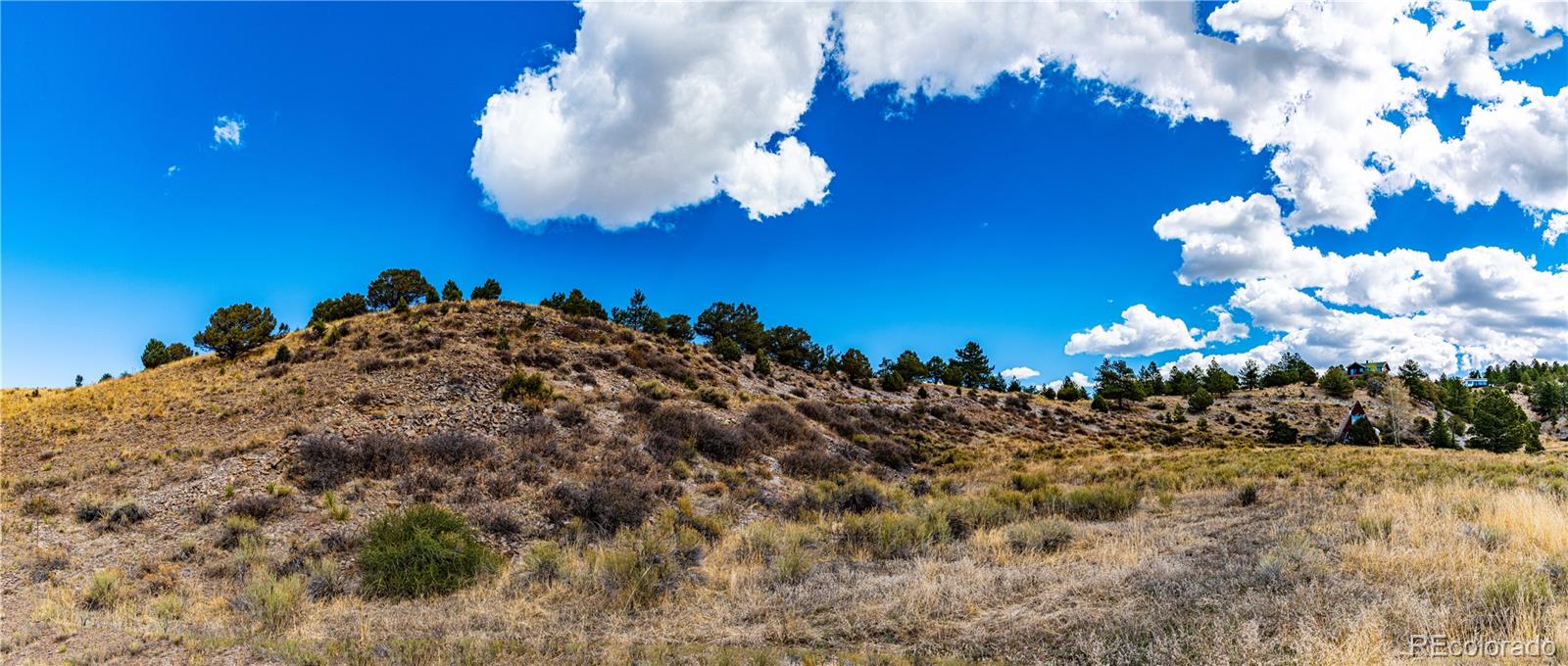 177 Bunker Hill Circle Silver Cliff CO 81252