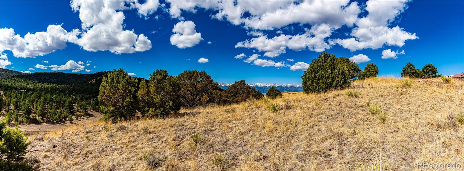 177 Bunker Hill Circle Silver Cliff CO 81252