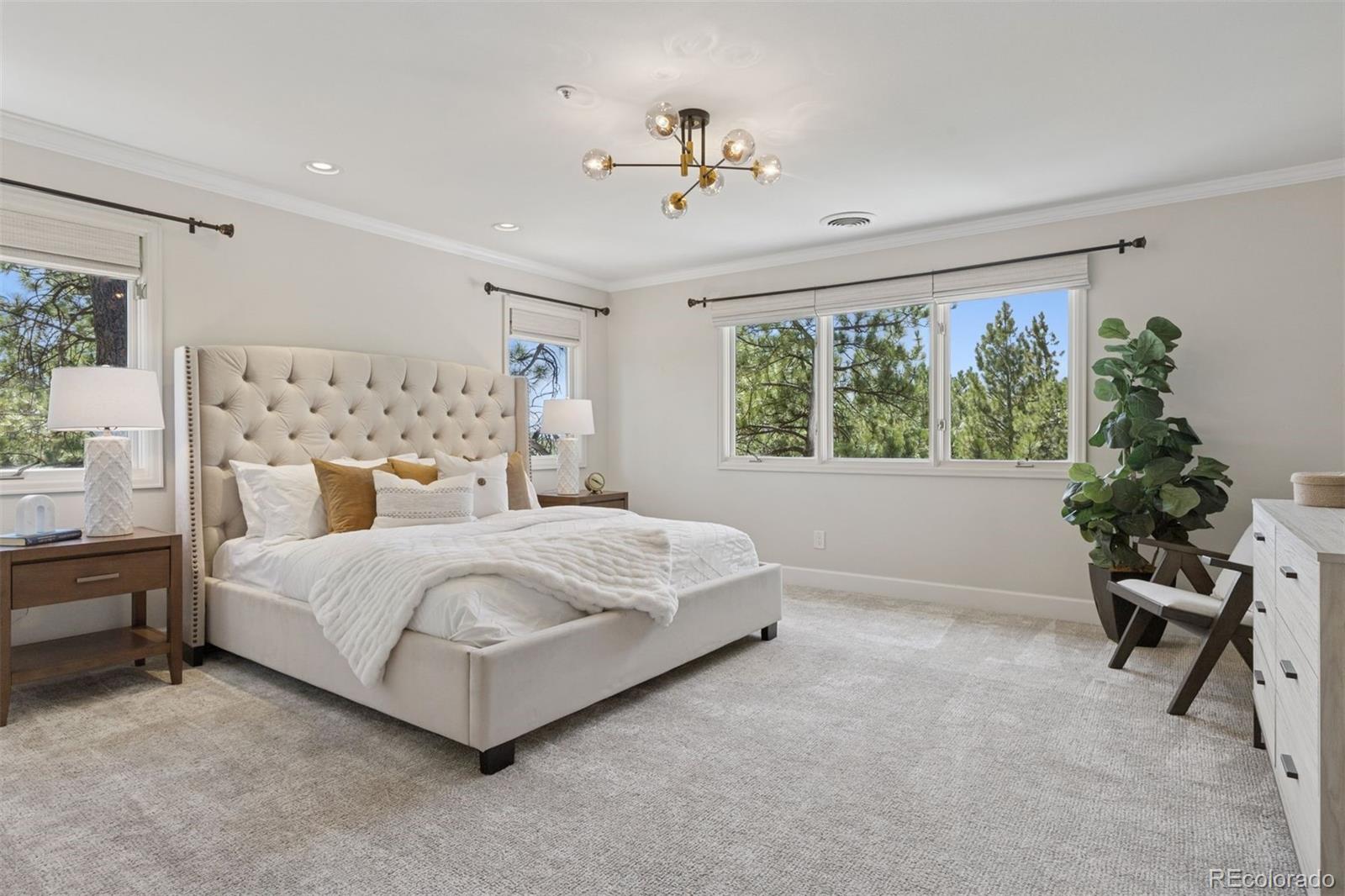 65 Indigo Way Castle Rock CO 80108
