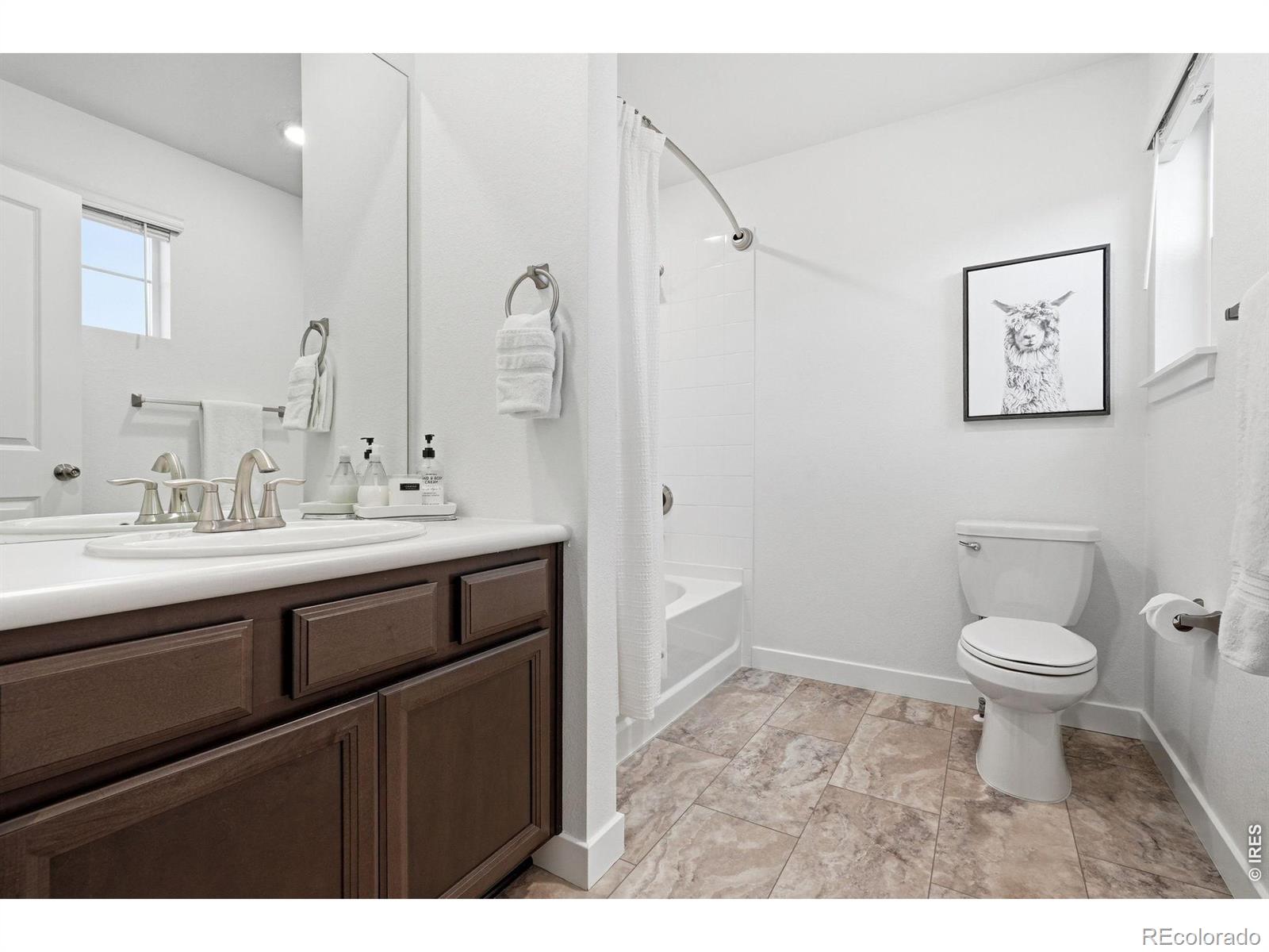 847 Rosevine Lane Erie CO 80516