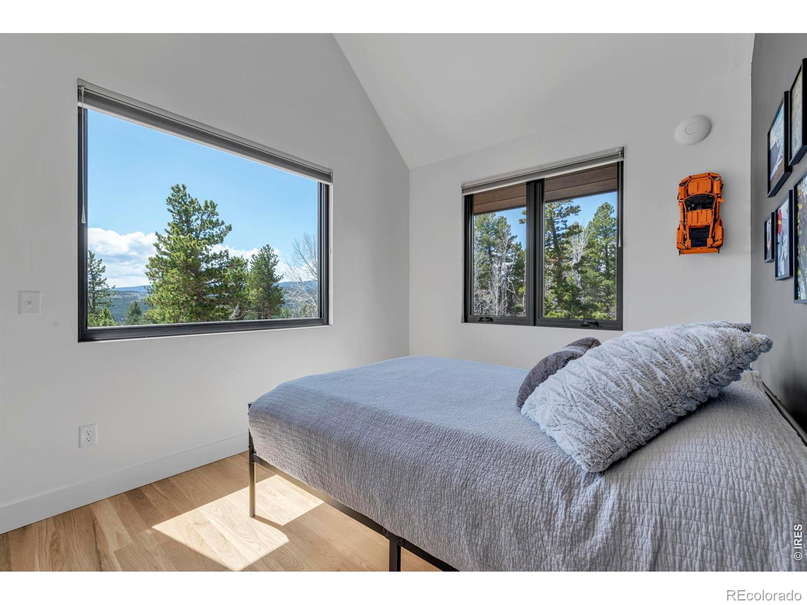 11 Juneau Circle Nederland CO 80466