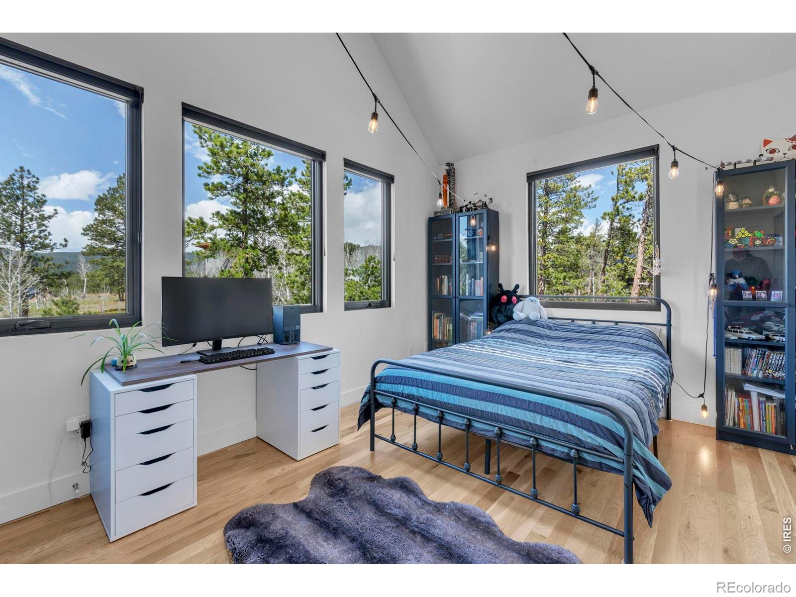 11 Juneau Circle Nederland CO 80466