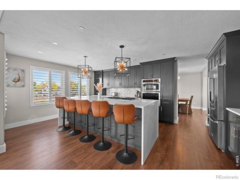 6717 Millstone Street Highlands Ranch CO 80130