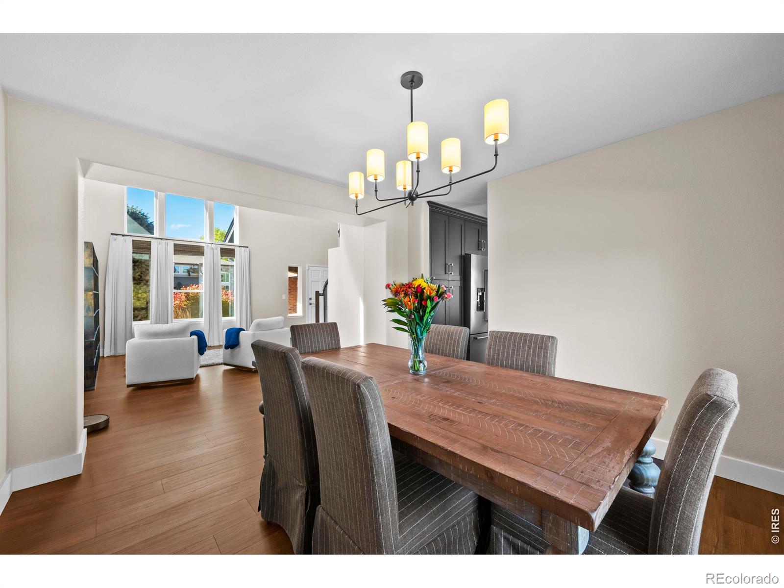 6717 Millstone Street Highlands Ranch CO 80130