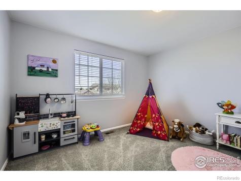 189 Kitty Hawk Court Windsor CO 80550