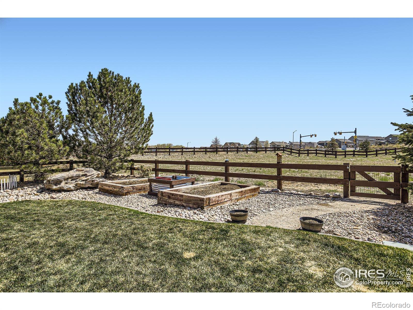 189 Kitty Hawk Court Windsor CO 80550