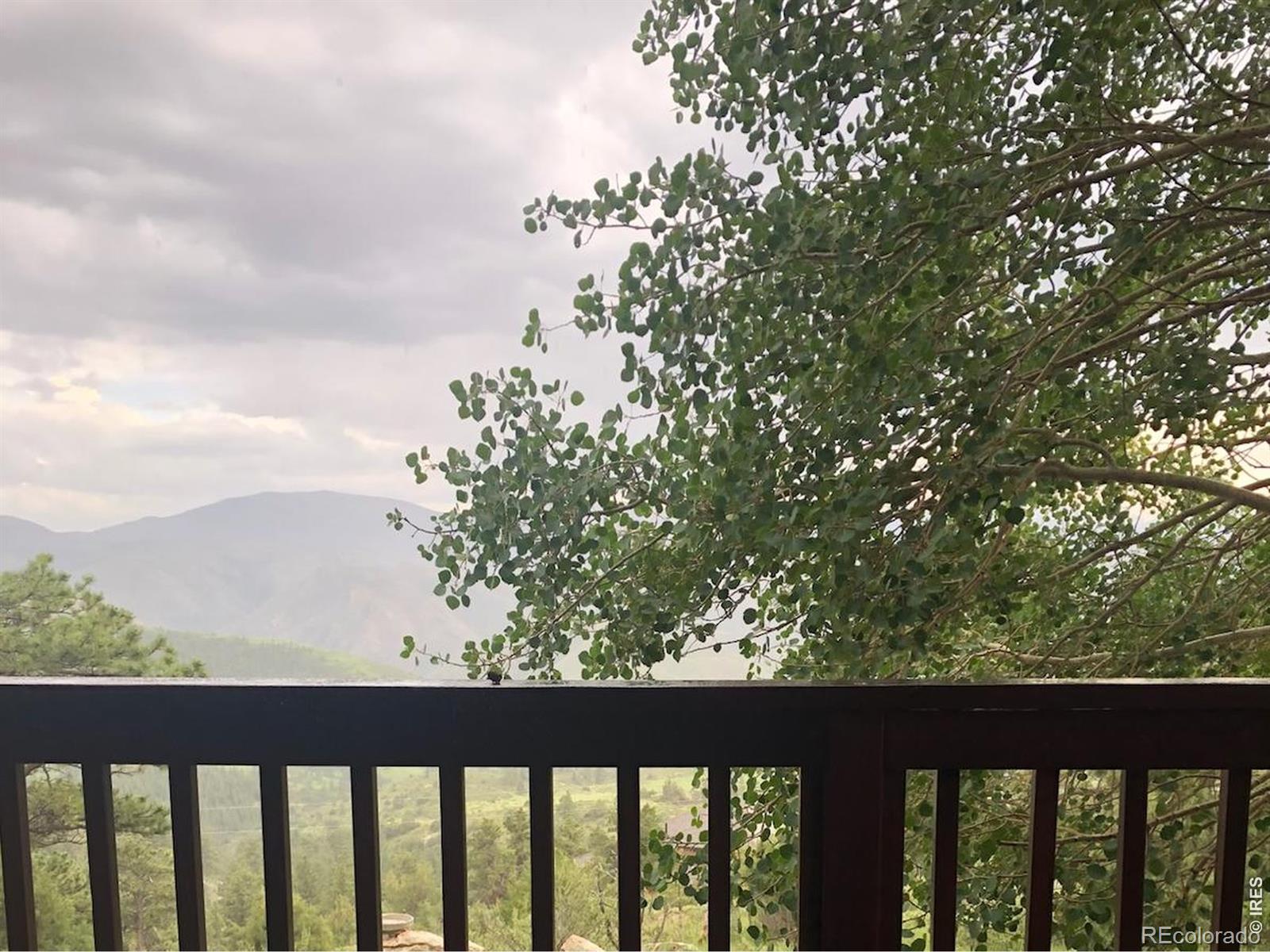 76 Rocky Vista Court Livermore CO 80536