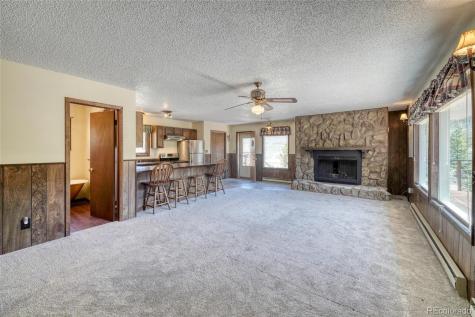 148 Cougar Road Leadville CO 80461