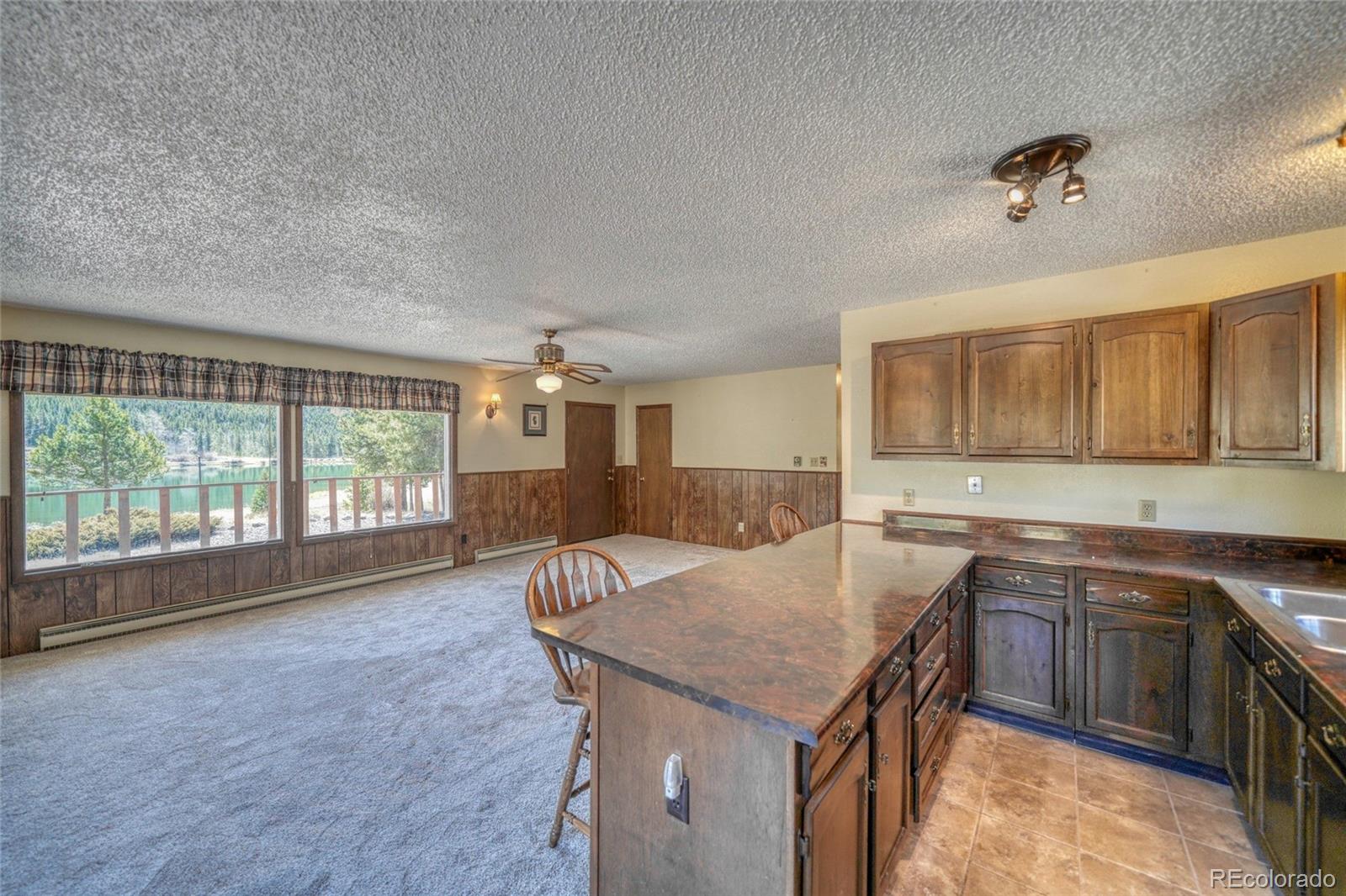 148 Cougar Road Leadville CO 80461
