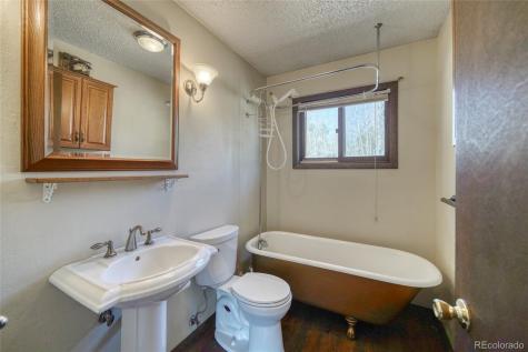 148 Cougar Road Leadville CO 80461